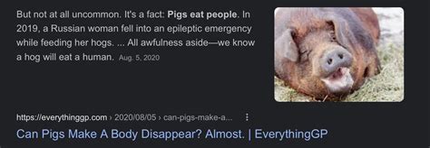 Do Pigs Really Eat Humans: Separating Fact From Fiction