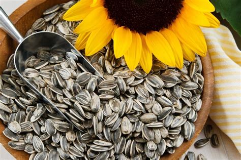 Do Sunflower Seeds Go Bad Over Time Naturally