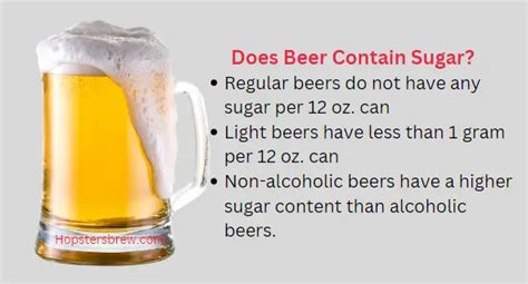 Does Beer Contain Sugar