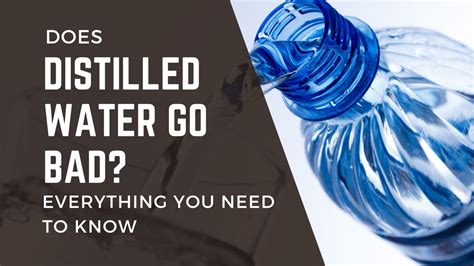 Does Distilled Water Go Bad: 5 Things To Know