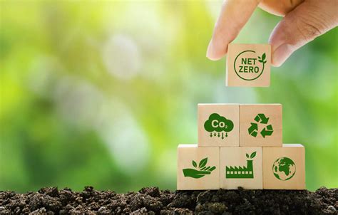 Eco-Friendly Solutions: Exploring Green Applications Today