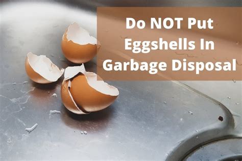 Egg Shells In Garbage Disposal: To Grind Or Not