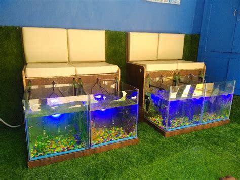 Find Garra Rufa Fish Spa Near Your Location Easily