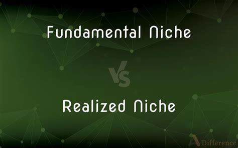 Fundamental Niche Vs Realized Niche: Whats The Difference