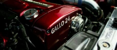 Gallo 24 Vs Gallo 12: Which One Is Better