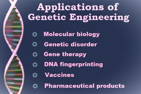 Genetic Engineering Applications Answer Key