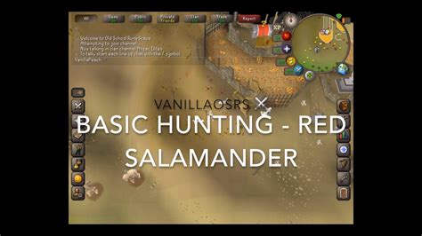 Get Salamander Osrs: A Step-By-Step Guide