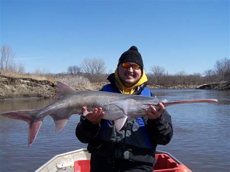 Get Your Nebraska Paddlefish Permit In 5 Easy Steps