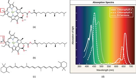 Green Light Absorption In Spectroscopy: Key Materials