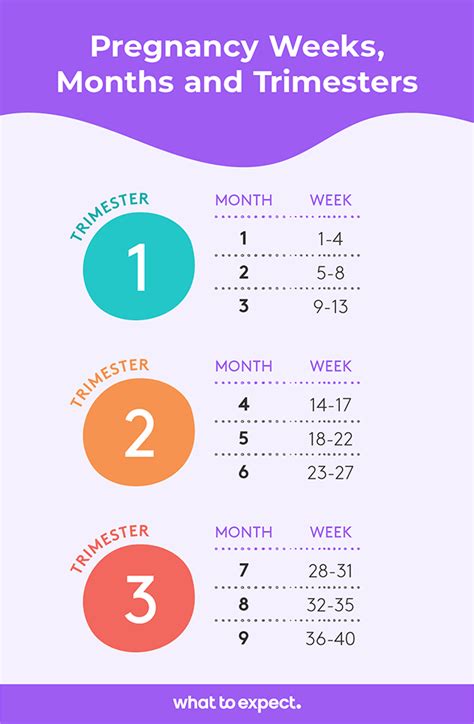 How Many Weeks In Summer: 12-Week Breakdown