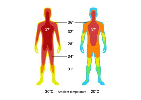 How Much Heat Is Needed To Vaporize Human Skin