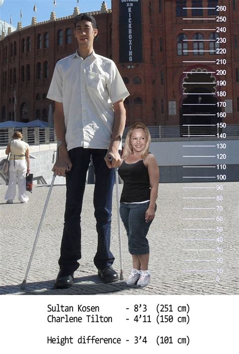 How Tall Is 411 In Height Compared To Average