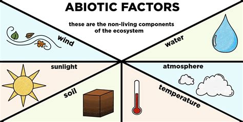 Is A Beehive Abiotic Or Living System