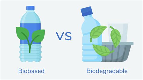 Is Ceramic Biodegradable Heres What You Need To Know