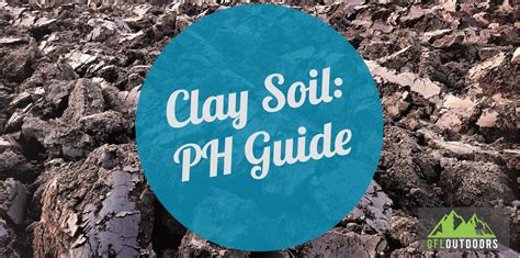 Is Clay Soil Acidic: Understanding The Ph Levels