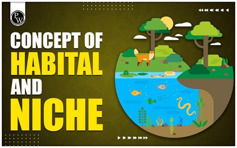 Is Niche A Biome: Exploring Ecological Concepts