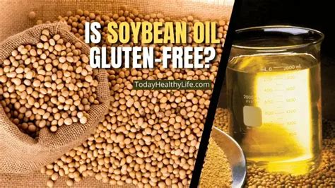 Is Soybean Oil Gluten Free For Safe Consumption