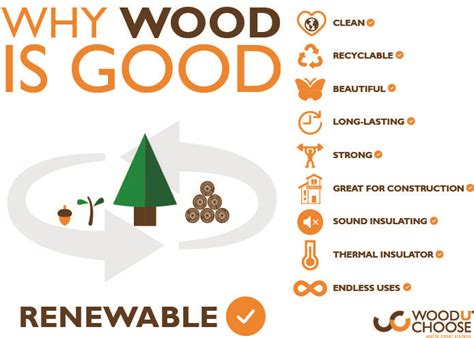 Is Wood A Renewable Resource For The Future