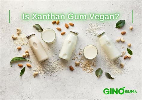 Is Xanthan Gum Vegan: The Truth Revealed In 5 Points