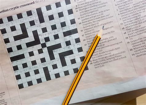 Larry Ellison Application Crossword Clues Explained