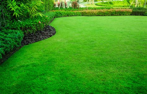 Lawn Care Applicator: Tips For A Lush Green Lawn