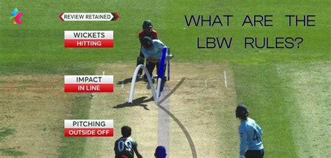 Lbw Application: Know The Laws And Procedures