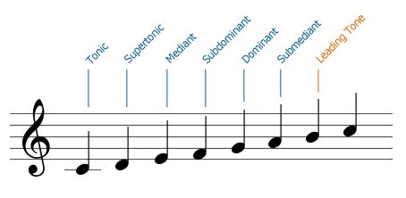 Leading Tone Notes Db: Unlocking Musics Hidden Patterns