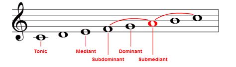 Leading Tone Notes: D Explained In Detail For Musicians