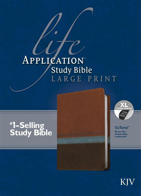 Life Application Study Bible Large Print Edition