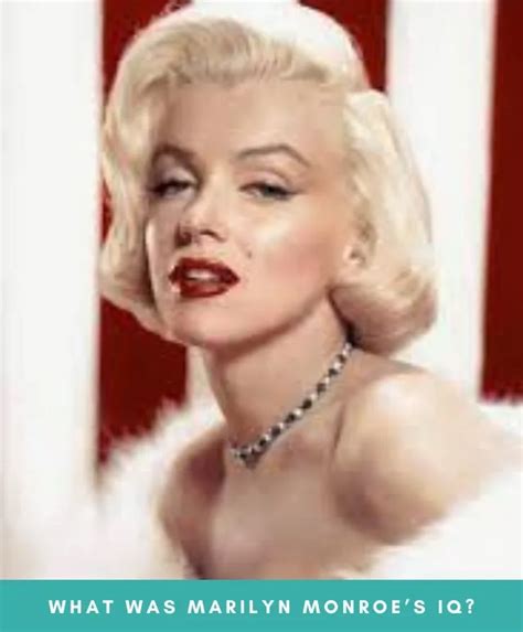 Marilyn Monroes Iq: Separating Fact From Fiction Revealed