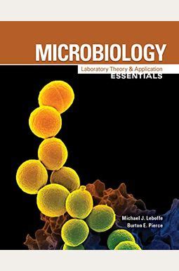 Mastering Microbiology Lab: 8 Essential Theory And Application Tips