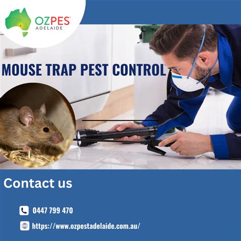 Mastering Trap Application For Effective Pest Control Solutions