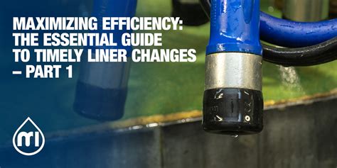 Maximizing Efficiency With Application Support For Liners