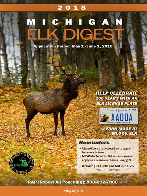 Michigan Elk Hunting Application Guide 2024