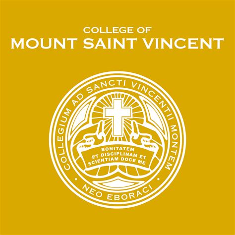 Mount Saint Vincent College Application Portal Guide