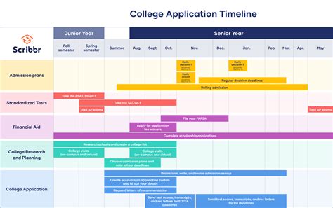 Navigating Optometry School Applications: A Step-By-Step Timeline Guide