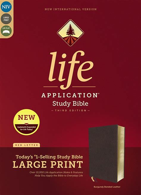 Niv Life Application Study Bible Large Print Edition