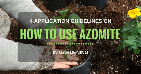 Optimizing Azomite Application Rates For Maximum Benefits