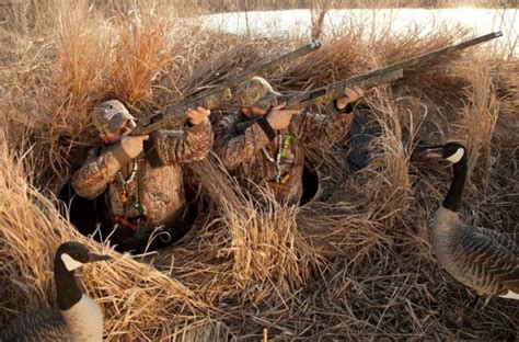 Pa Goose Blind Application: 5 Steps To Success