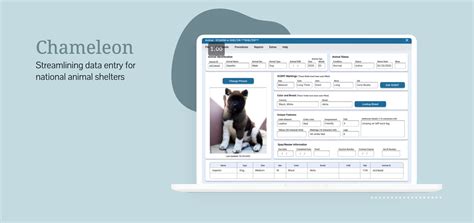 Paws Application: Streamline Animal Shelter Management