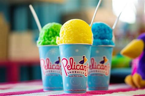 Pelicans Snoballs Job Application Process And Requirements