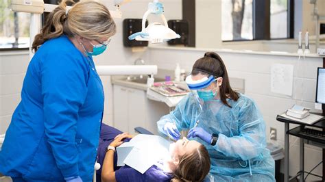 Prcc Dental Hygiene Program Application Guide