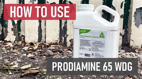 Prodiamine Granular Application Rate: A Comprehensive Guide