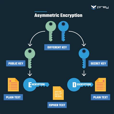 Protect Your Data: A Guide To Application Encryption