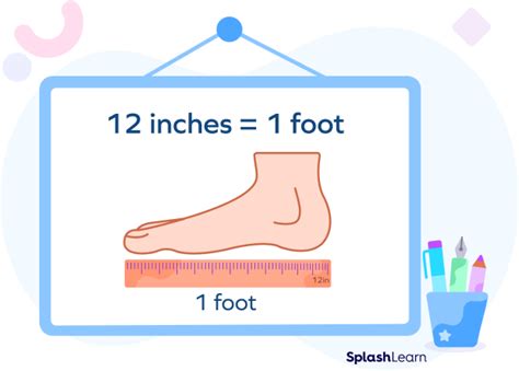 Quickly Convert 122 Inches To Feet Made Easy