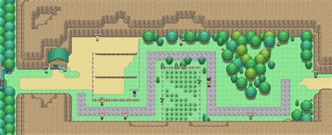 Route 8 PokéMon Black: A Comprehensive Guide