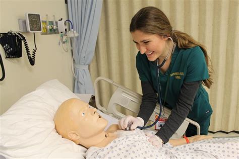 Sac State Nursing Application Deadline: Key Dates To Know