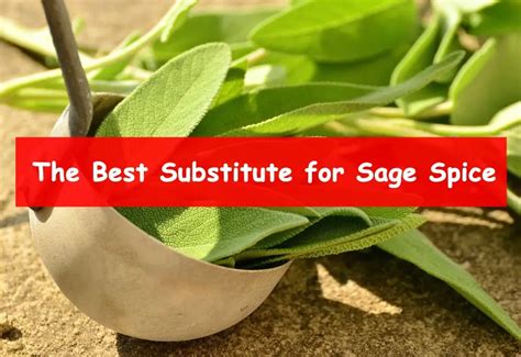 Sage Spice Substitute Options For Cooking