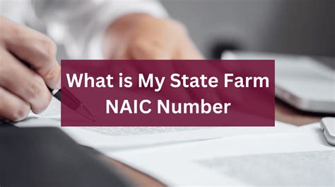 State Farm Naic Number: What You Need To Know