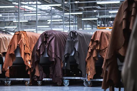 Tanners Applications In Leather Production And Beyond